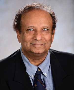 Professor Komerath